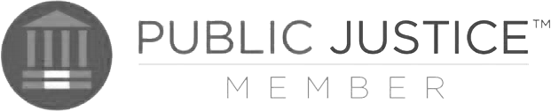 Public Justice